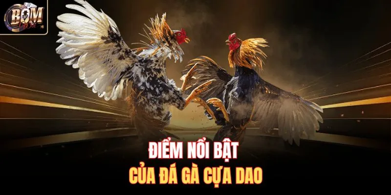 Điểm nổi bật của đá gà cựa dao