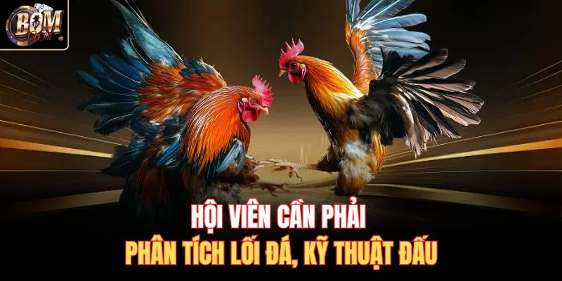 Hội viên cần phải phân tích lối đá, kỹ thuật đấu