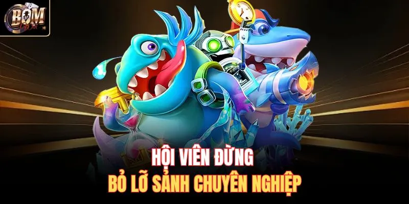 Hội viên đừng bỏ lỡ sảnh chuyên nghiệp