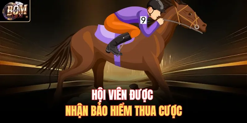 Hội viên được nhận bảo hiểm thua cược
