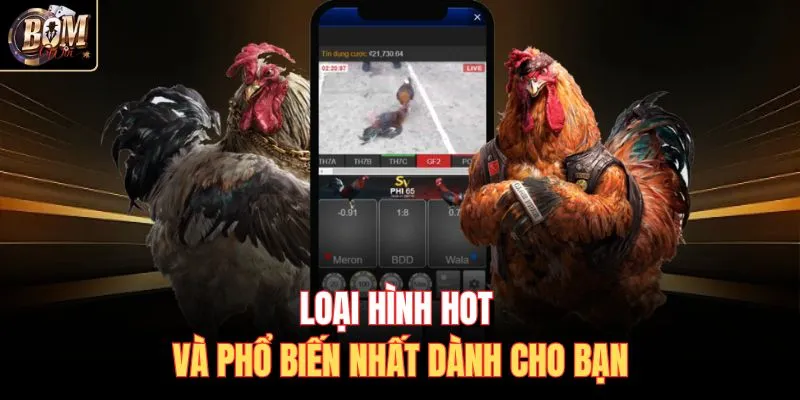 Loại hình hot và phổ biến nhất dành cho bạn