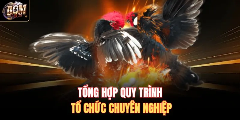 Tổng hợp quy trình tổ chức chuyên nghiệp