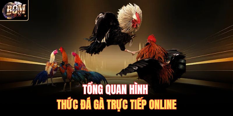 Tổng quan hình thức đá gà trực tiếp online